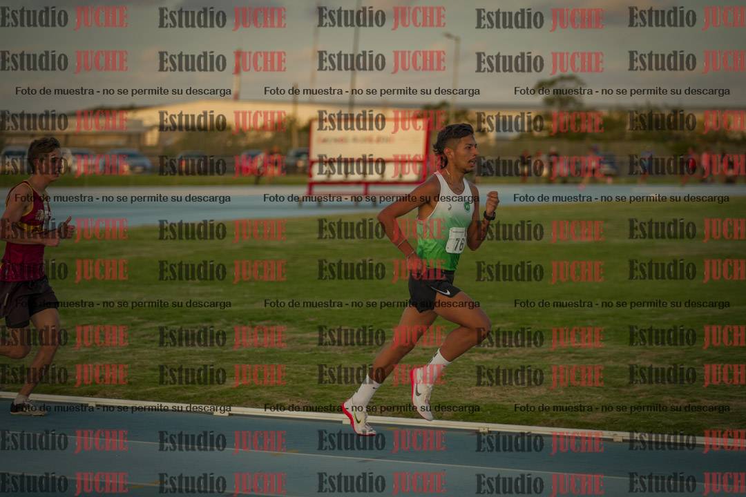 Fotos de los 3000 m llanos de varones