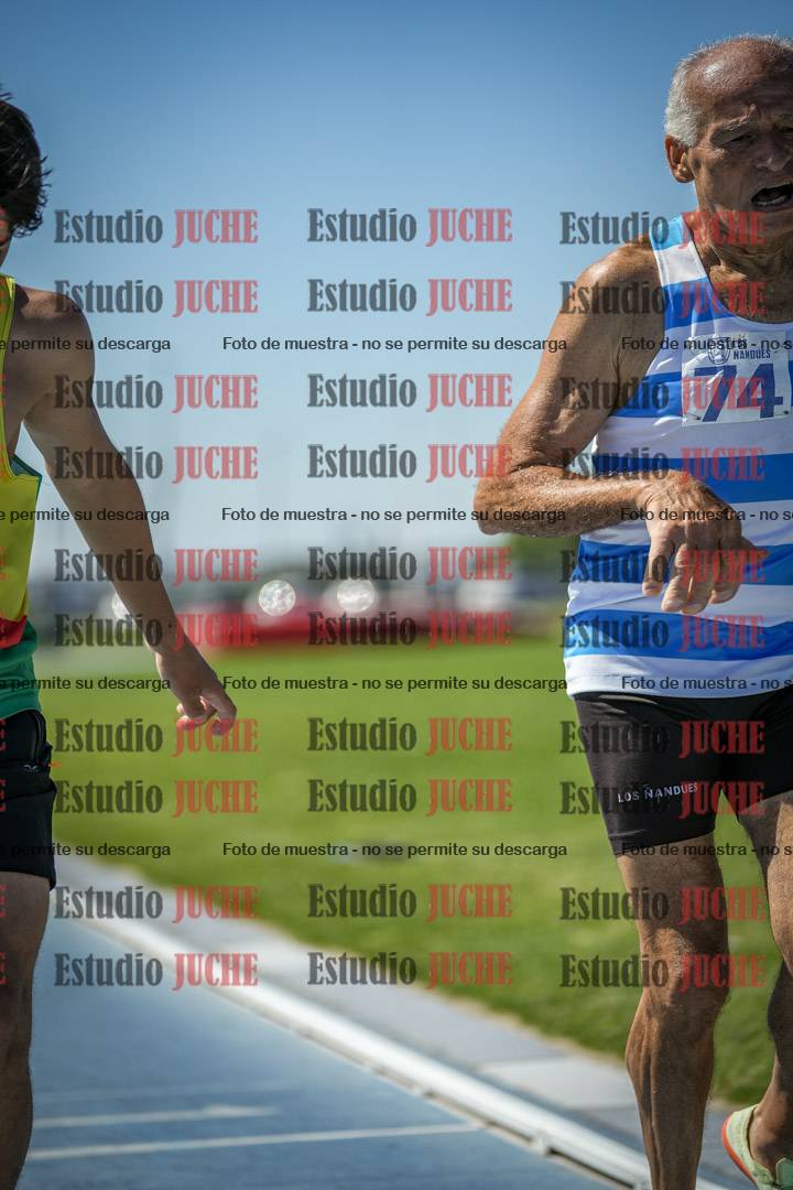 Fotos de los 800 m llanos de varones