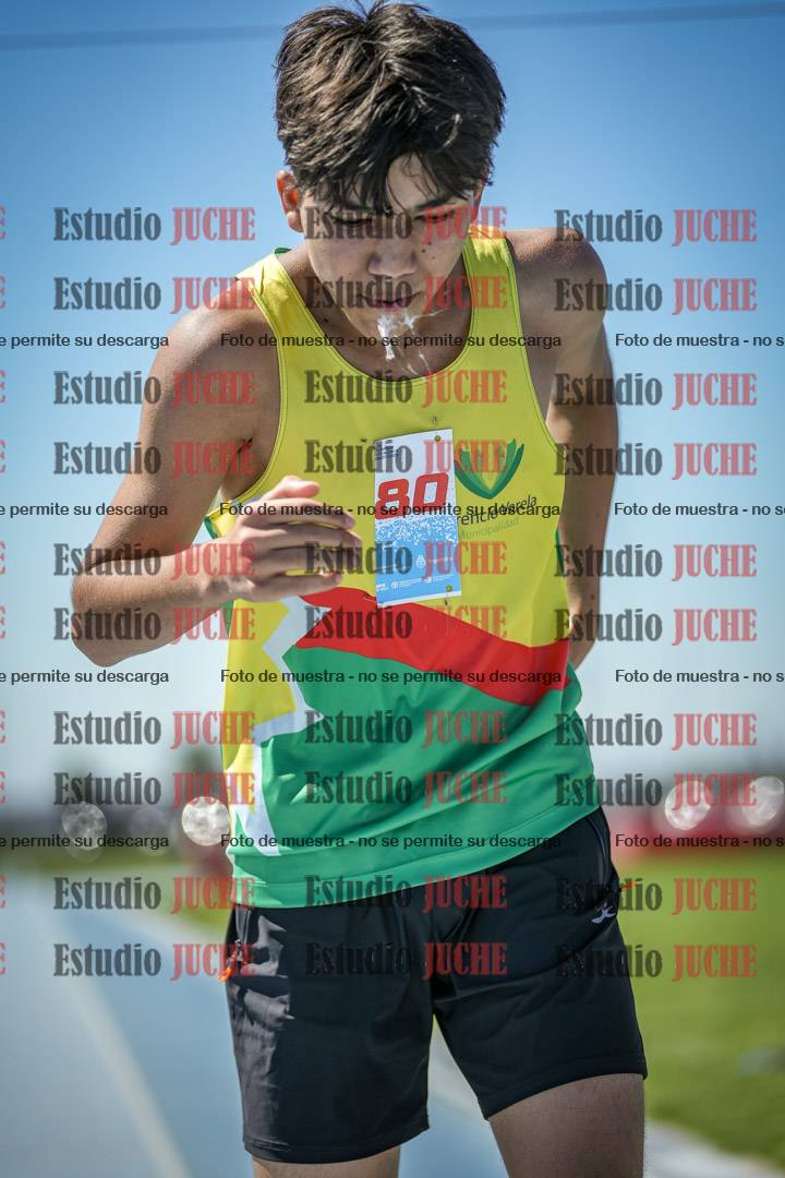 Fotos de los 800 m llanos de varones