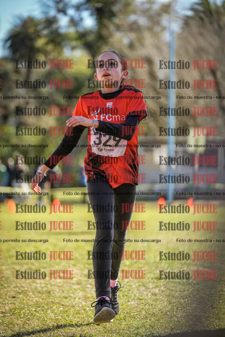 Fotos de la llegada del cross de 1500 m