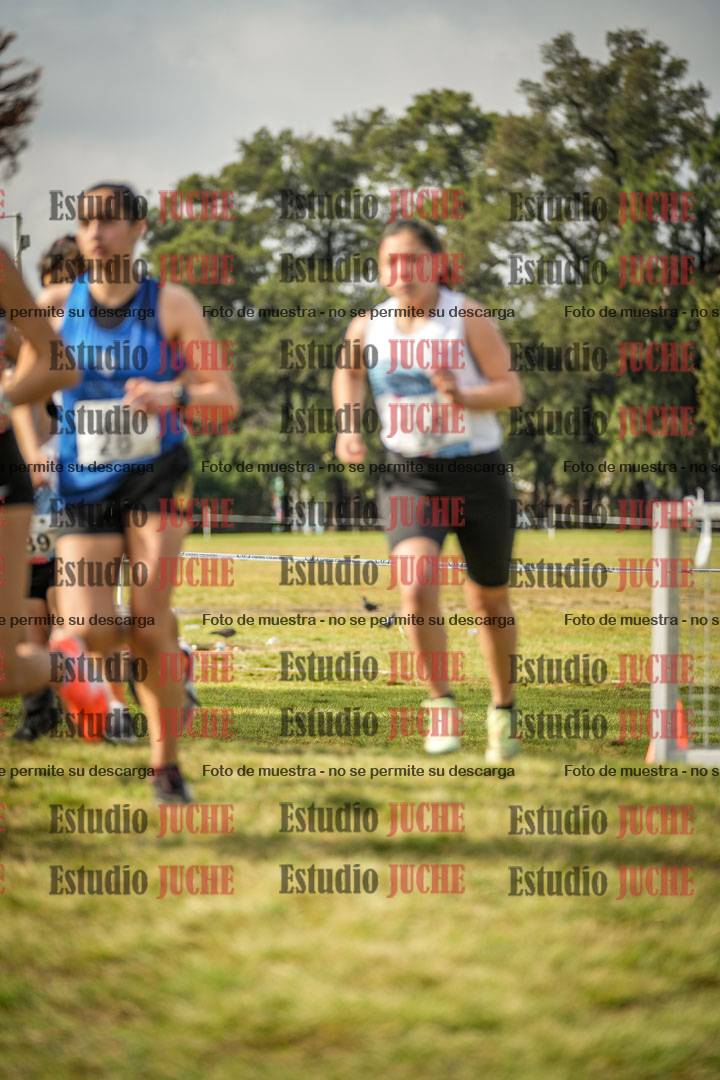 Fotos en el circuito