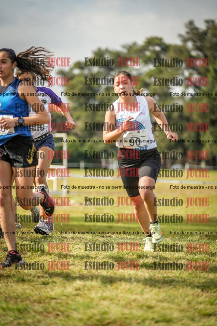 Fotos en el circuito