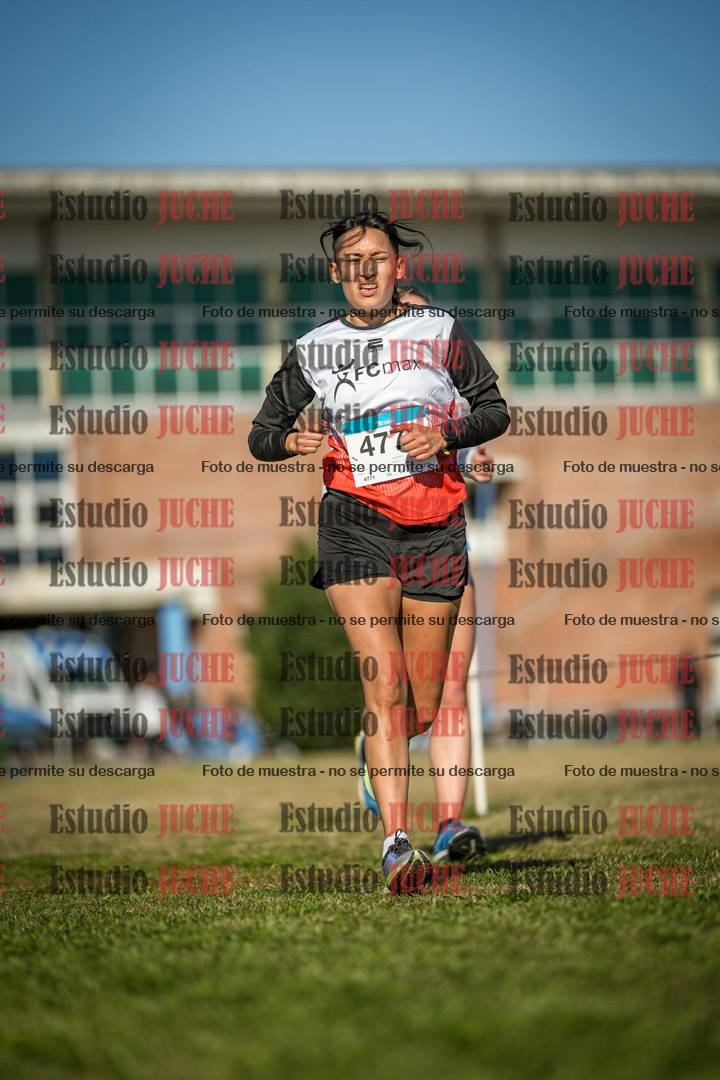 Fotos en el circuito