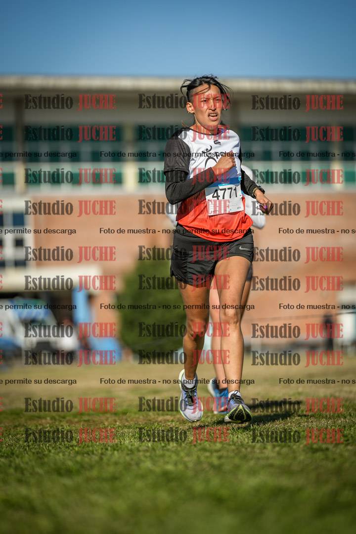 Fotos en el circuito