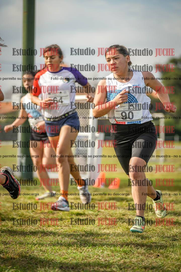 Fotos en el circuito