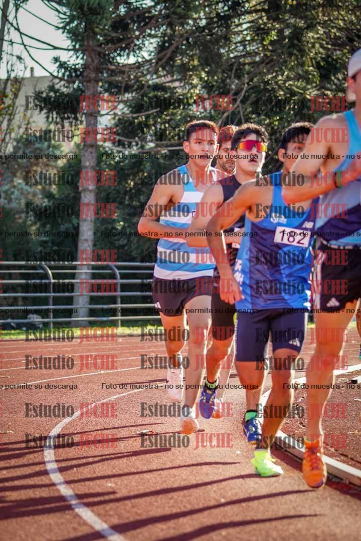 Fotos de los 3000 m llanos de varones