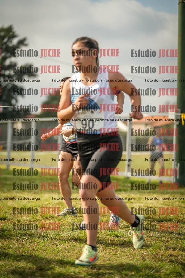 Fotos en el circuito
