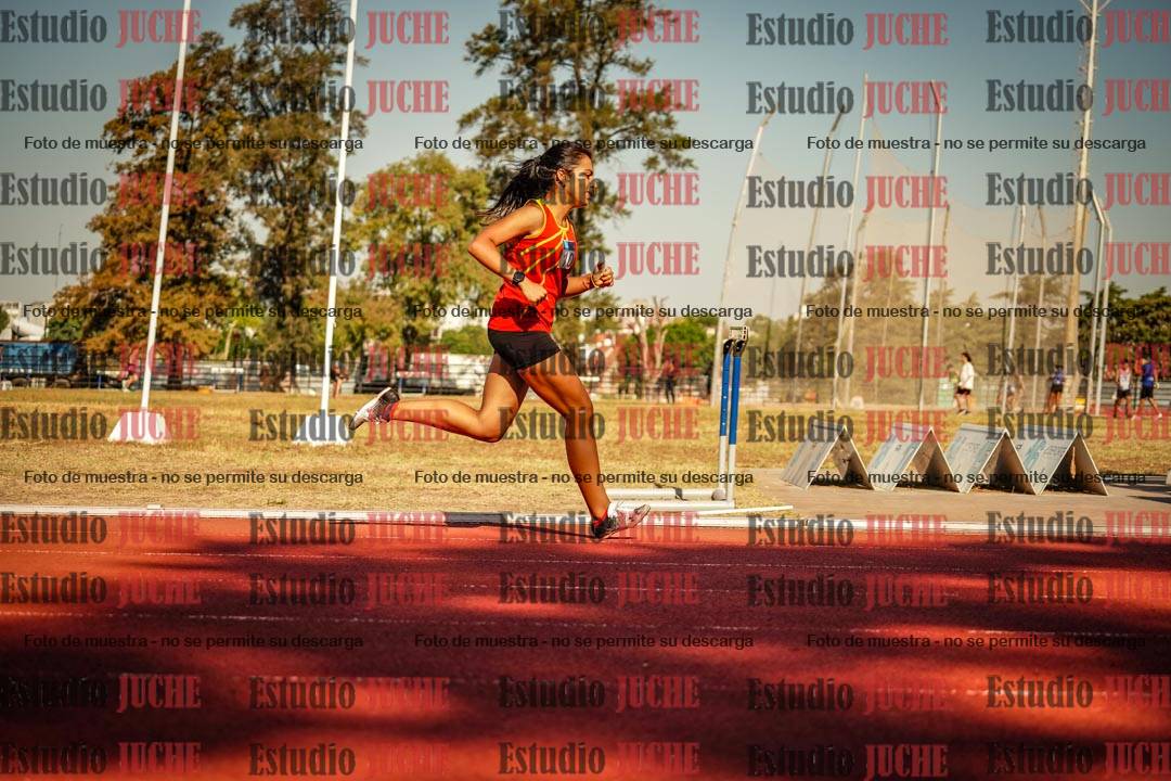 Fotos de los 800 m llanos de mujeres