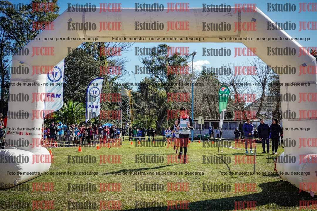 Fotos de la llegada del cross de 1500 m