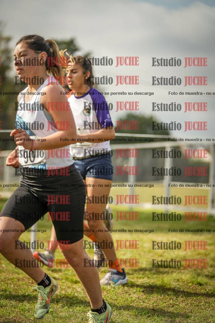 Fotos en el circuito