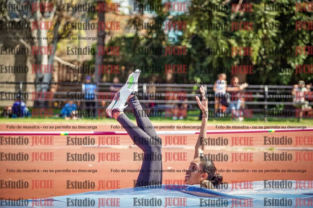 Fotos del salto en alto