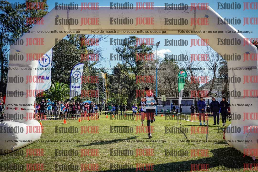 Fotos de la llegada del cross de 1500 m