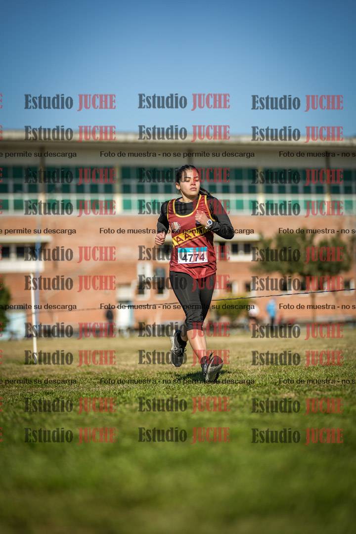 Fotos en el circuito