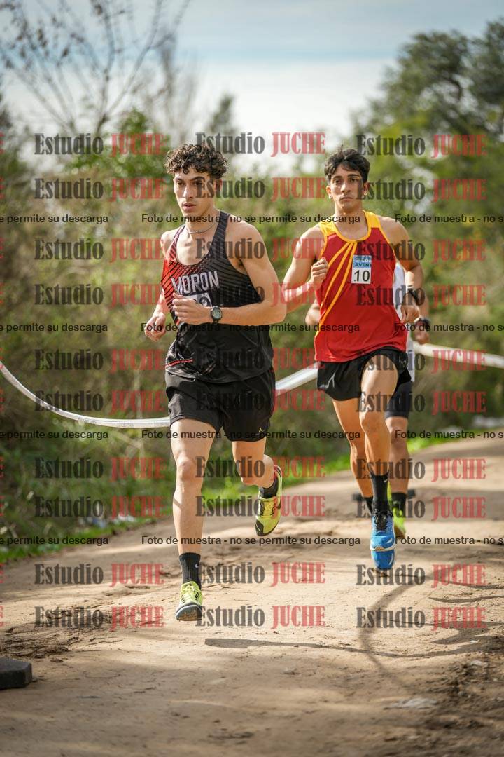Fotos en el circuito