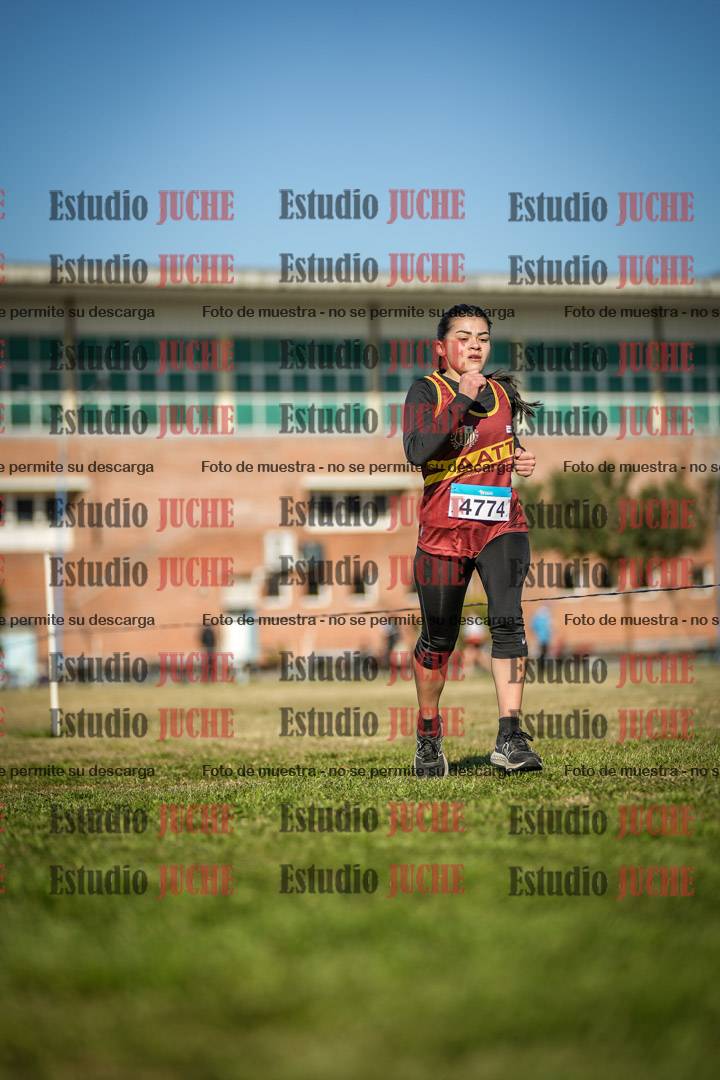 Fotos en el circuito