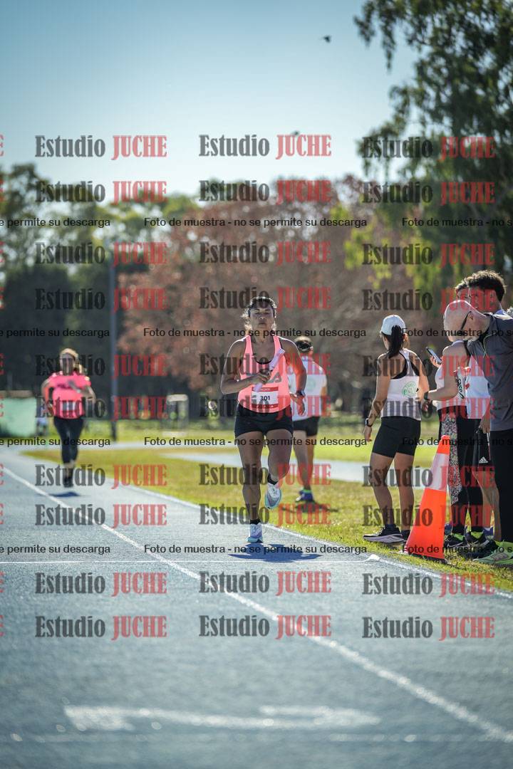Fotos de las llegadas