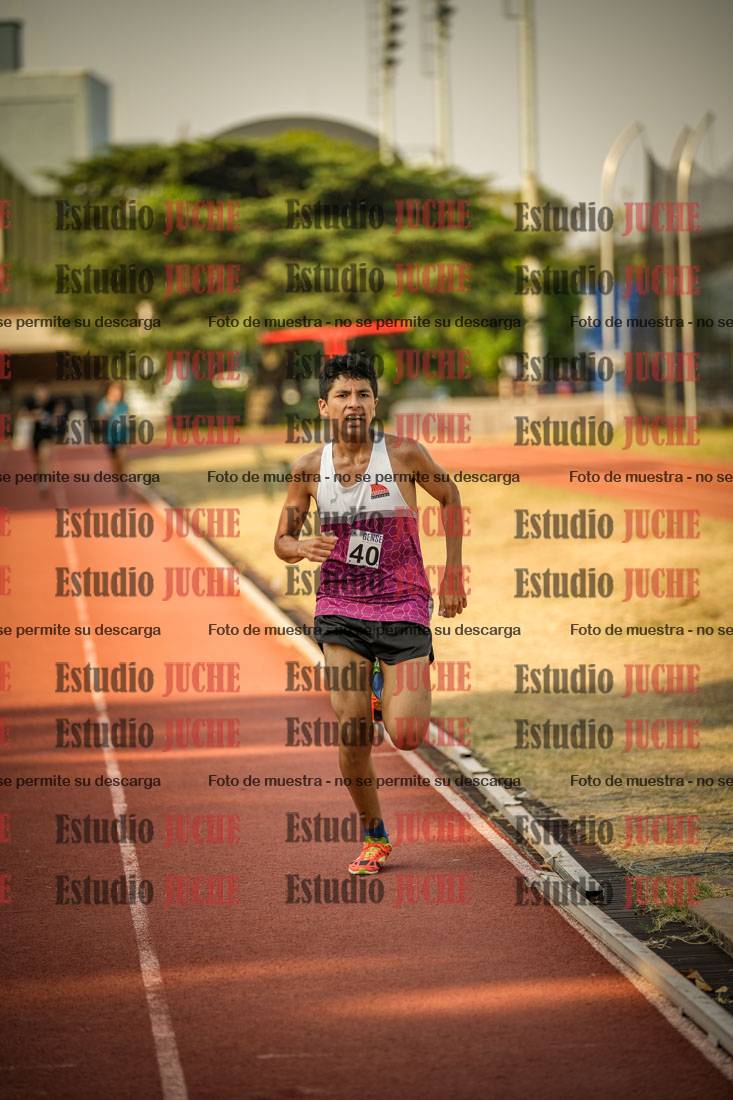 Fotos de los 1500 m llanos de varones