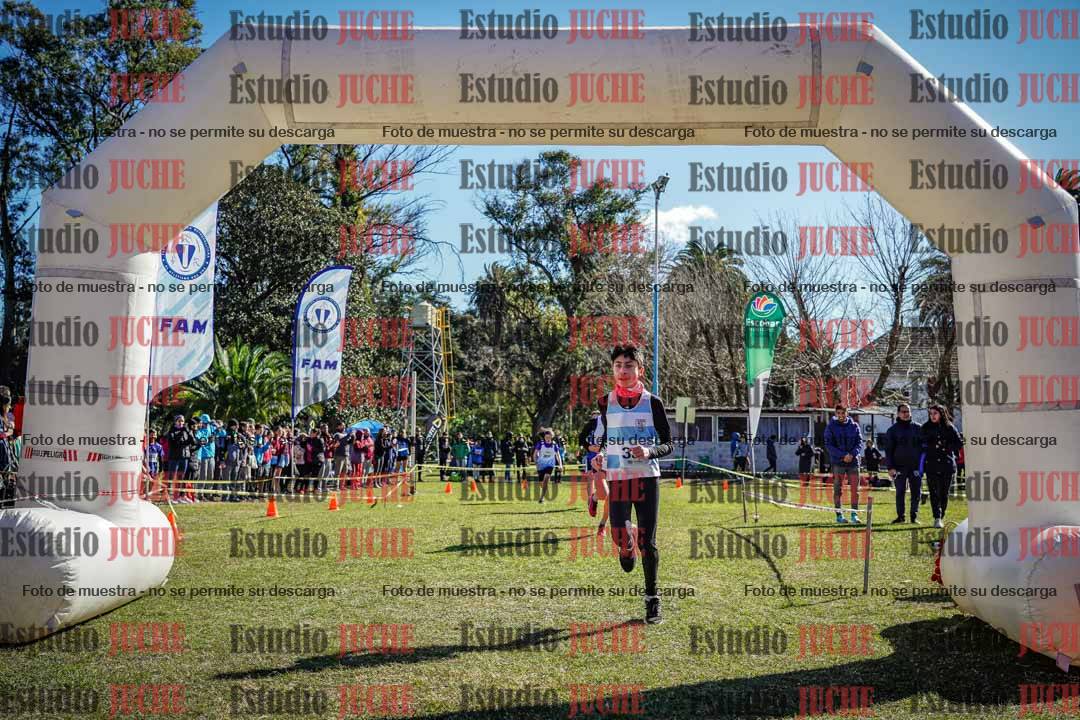 Fotos de la llegada del cross de 1500 m