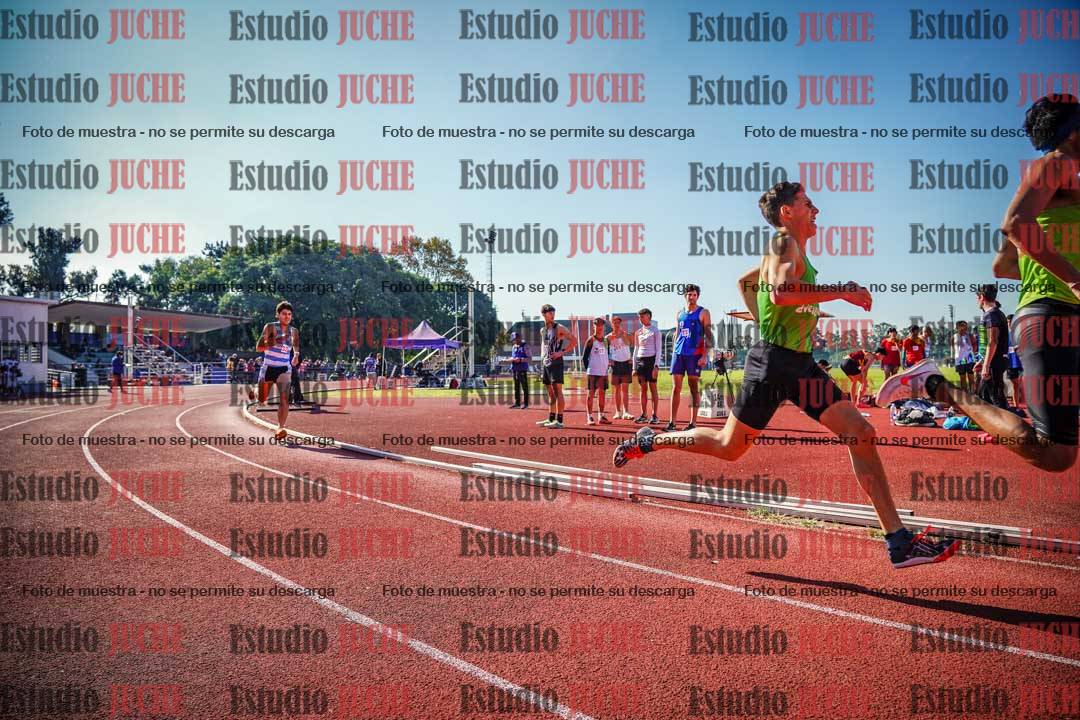 Fotos de los 800 m llanos de varones