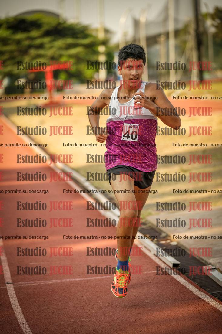 Fotos de los 1500 m llanos de varones