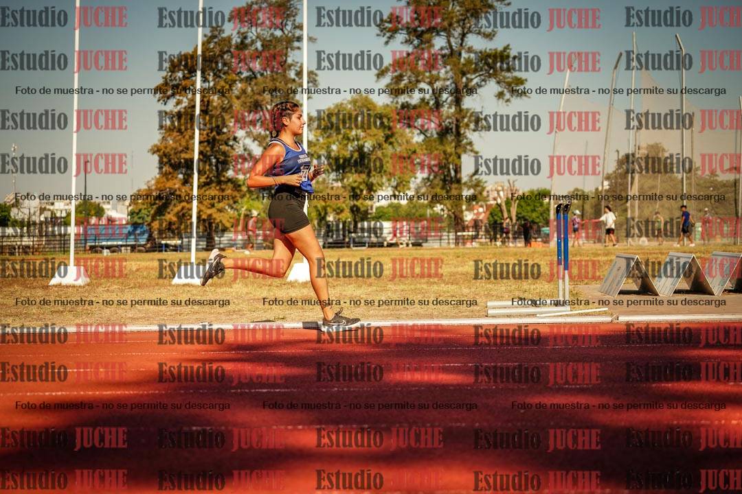 Fotos de los 800 m llanos de mujeres