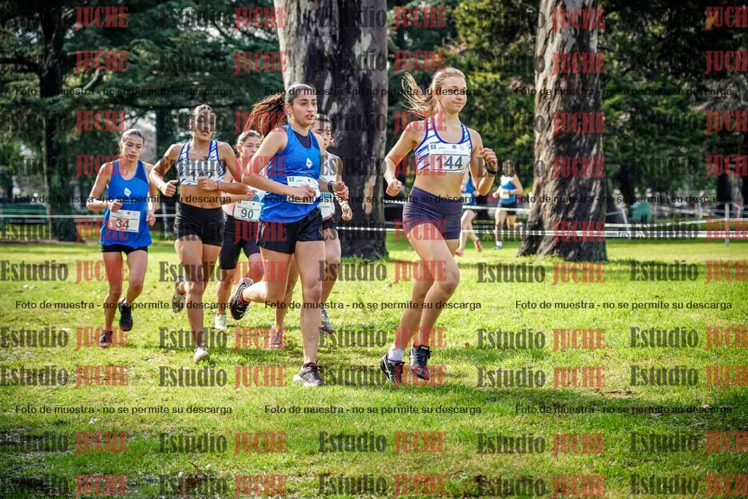 Fotos en el circuito