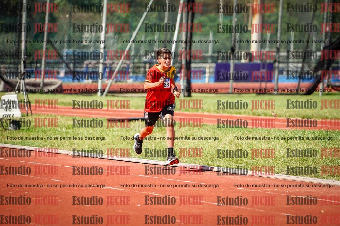 Fotos de los 1000 m llanos de varones