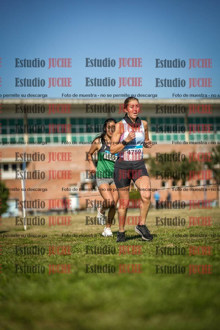 Fotos en el circuito