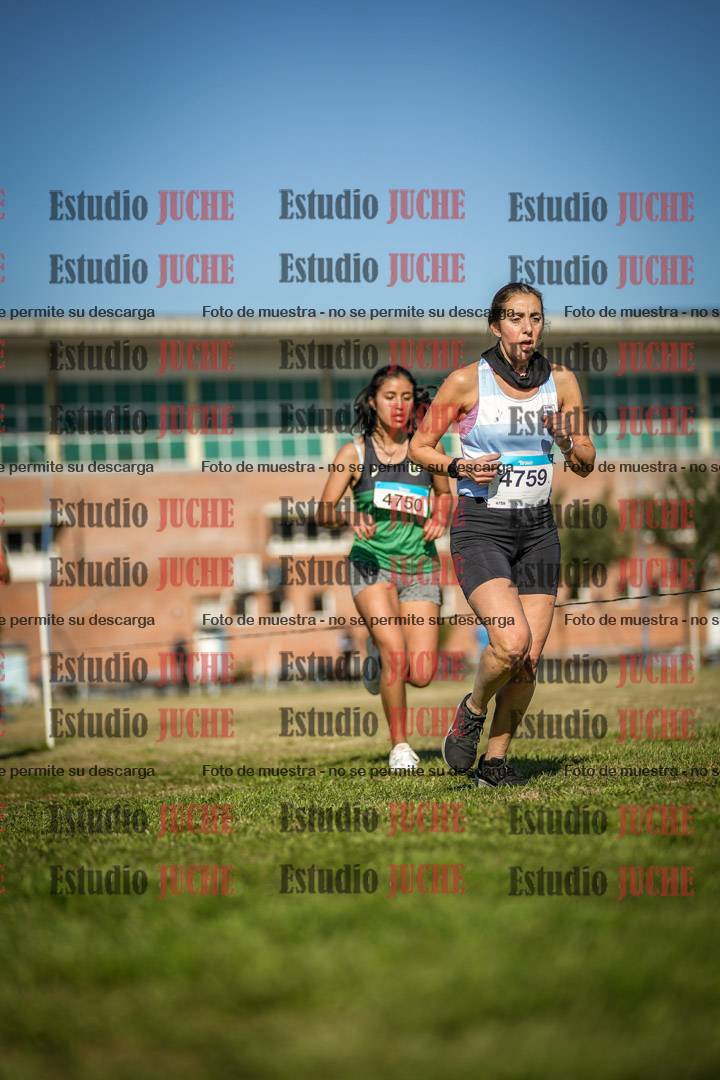 Fotos en el circuito