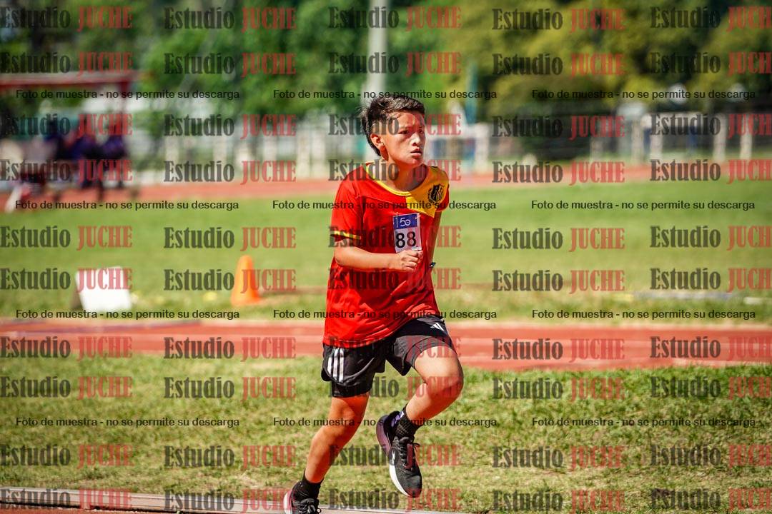 Fotos de los 1000 m llanos de varones