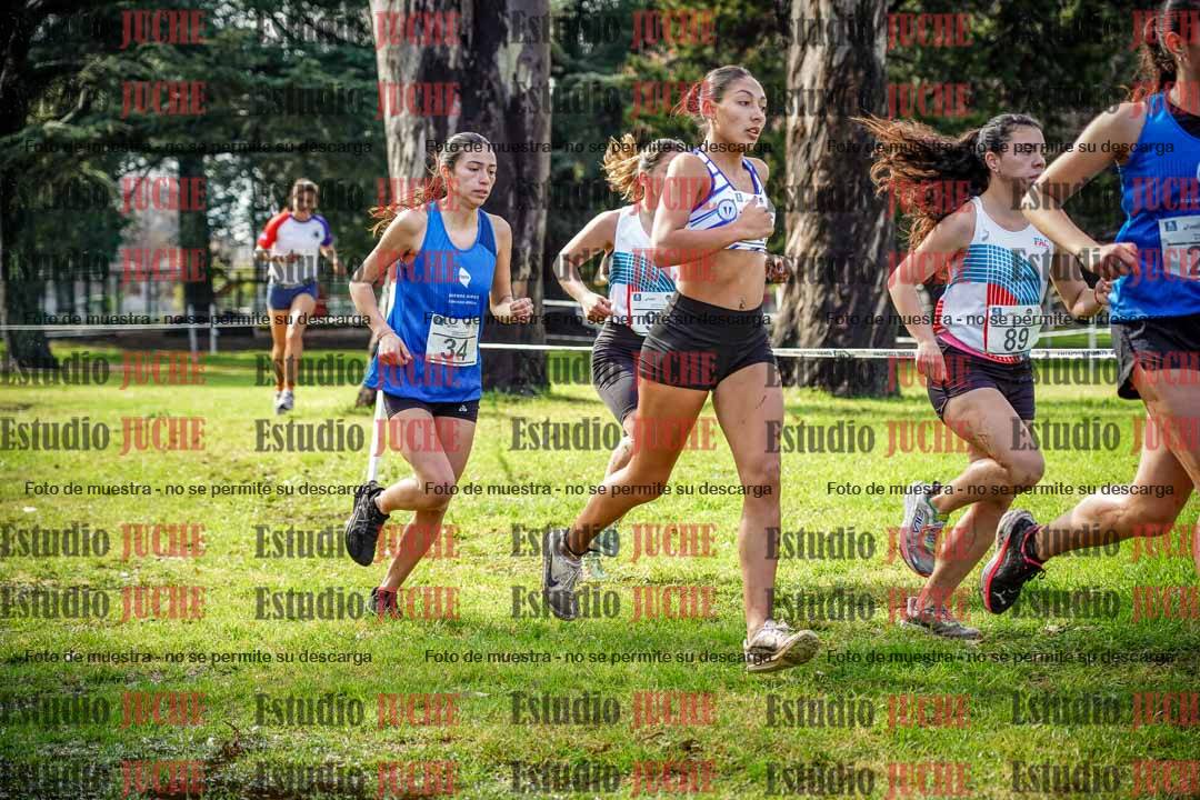 Fotos en el circuito