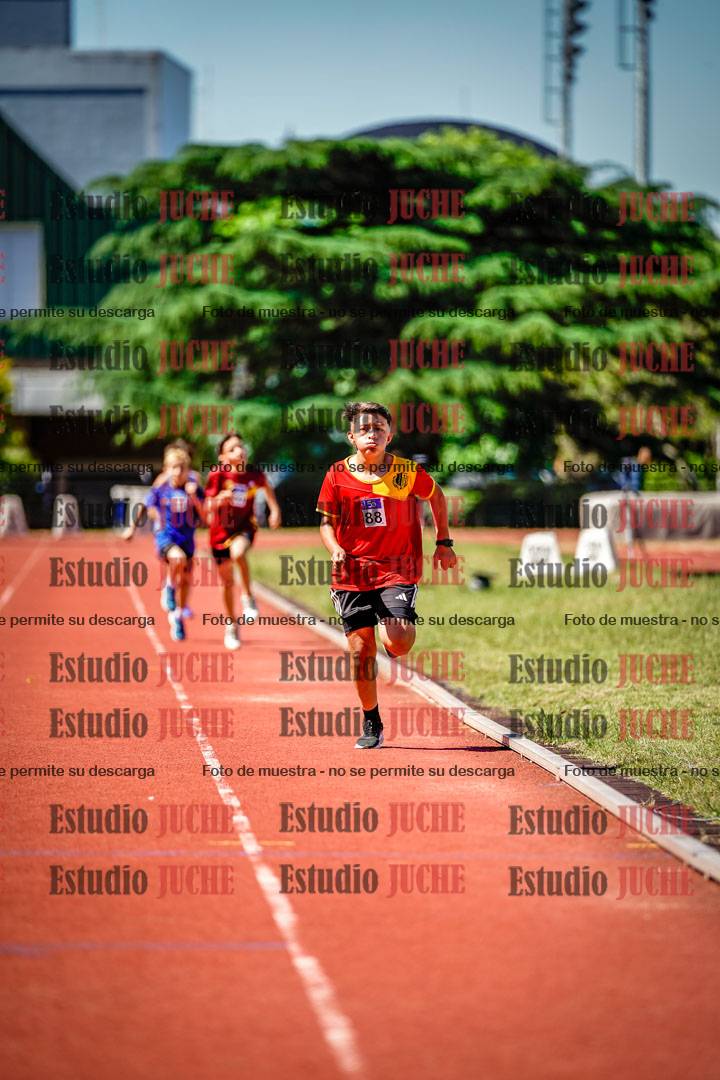 Fotos de los 1000 m llanos de varones