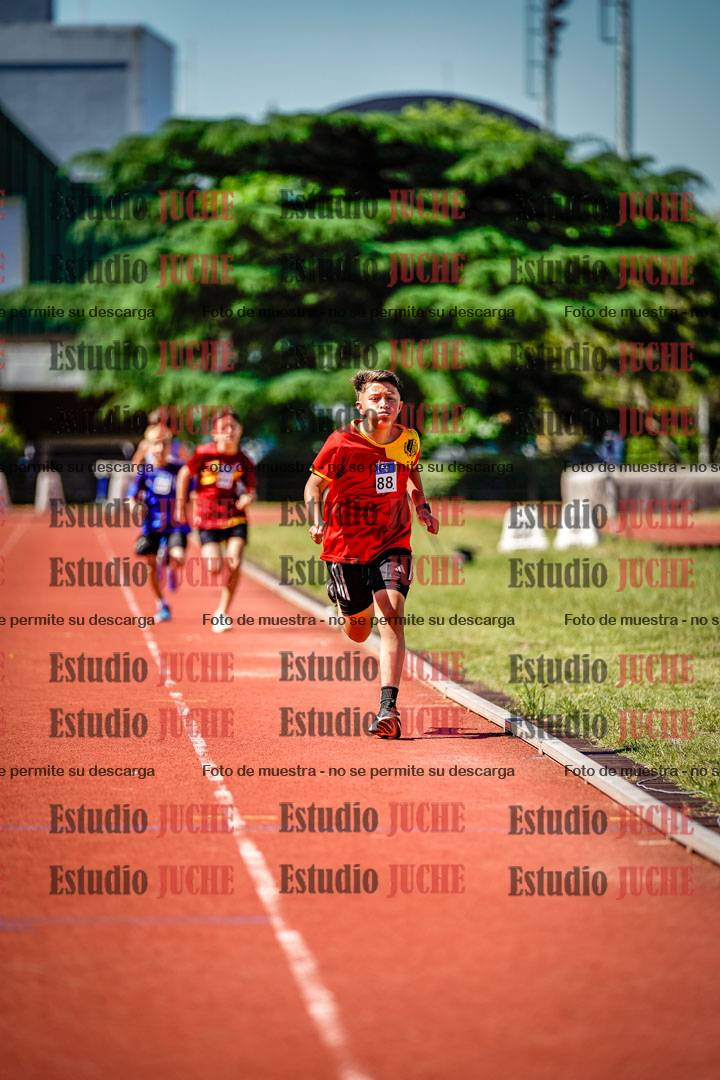 Fotos de los 1000 m llanos de varones