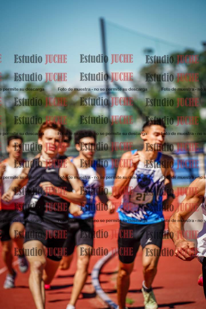 Fotos de los 800 m llanos de varones