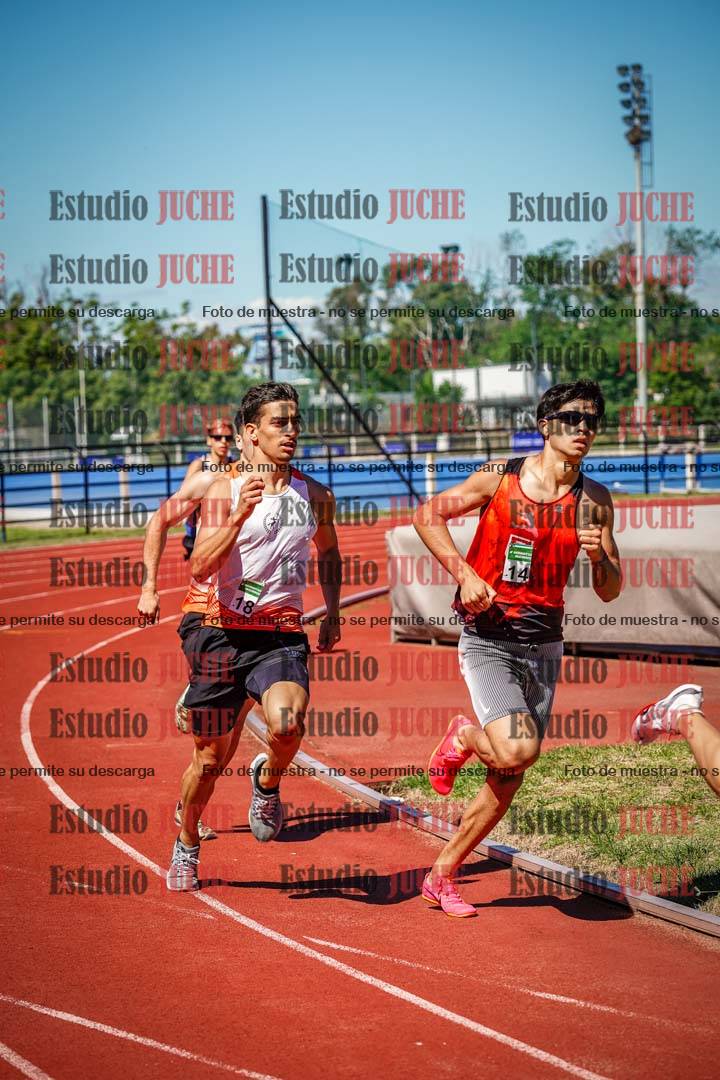 Fotos de los 800 m llanos de varones