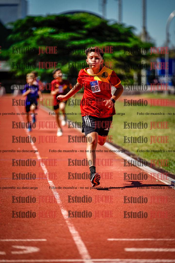 Fotos de los 1000 m llanos de varones