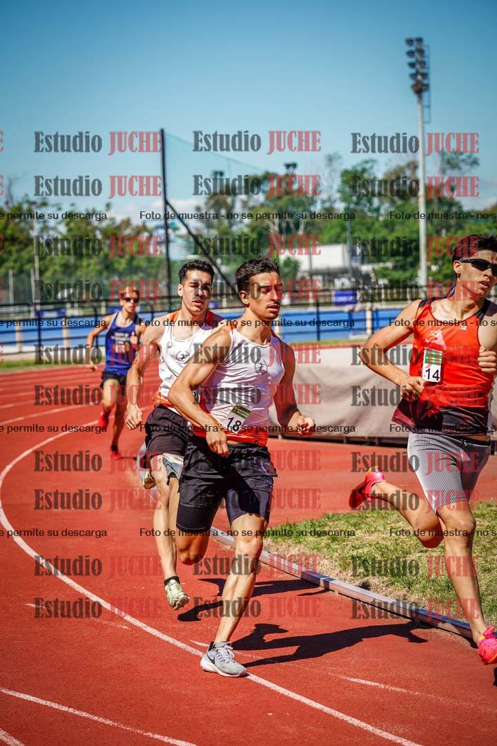 Fotos de los 800 m llanos de varones