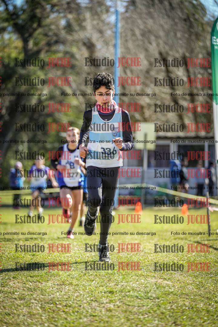Fotos de la llegada del cross de 1500 m