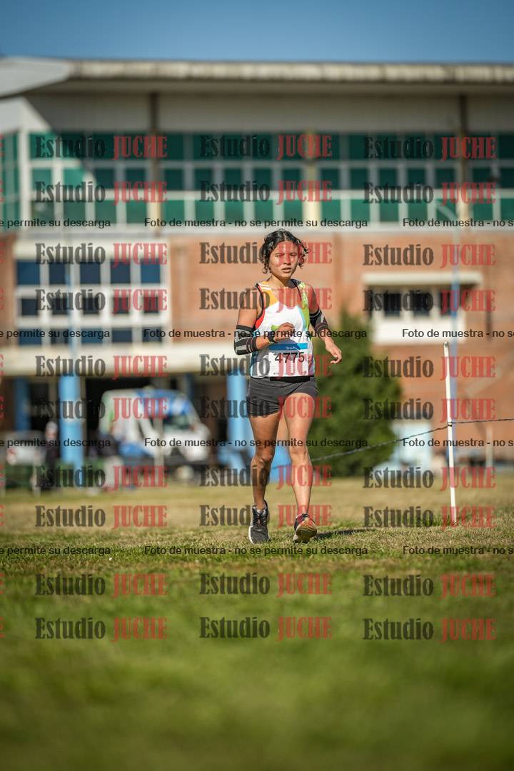 Fotos en el circuito