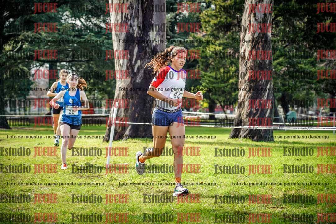 Fotos en el circuito