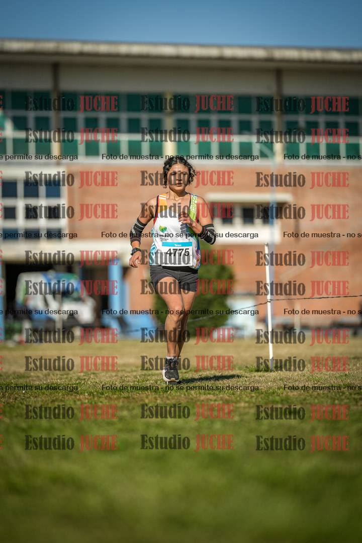 Fotos en el circuito