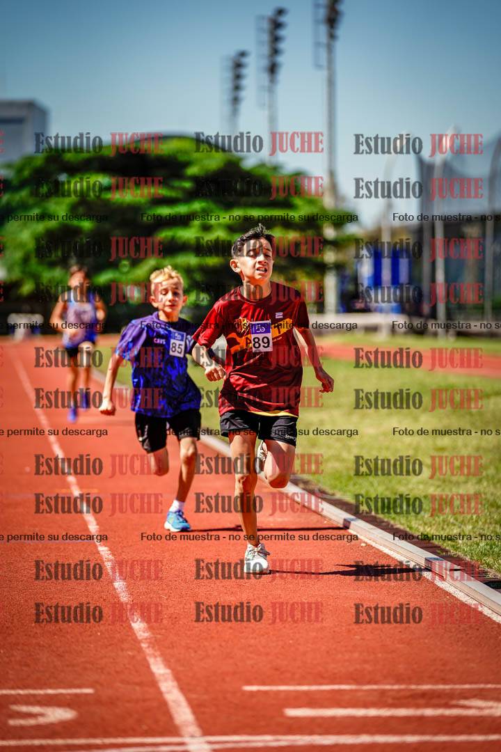 Fotos de los 1000 m llanos de varones