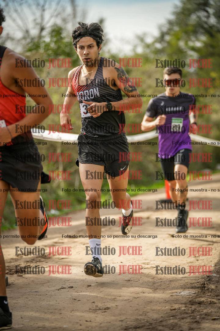 Fotos en el circuito