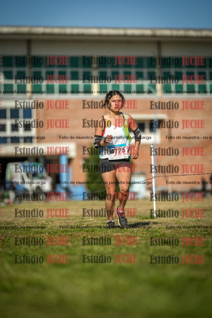Fotos en el circuito