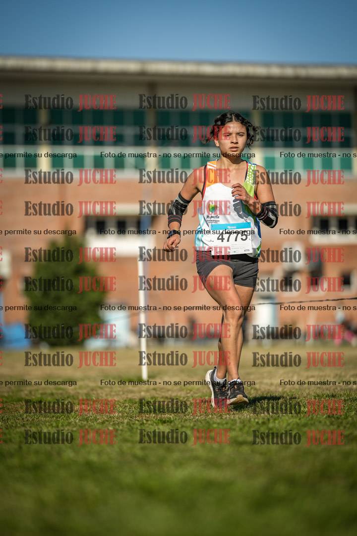 Fotos en el circuito
