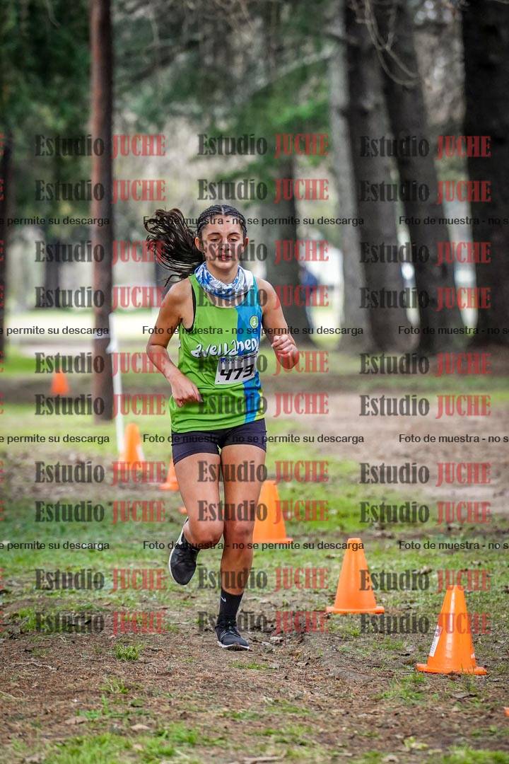 Fotos en el circuito