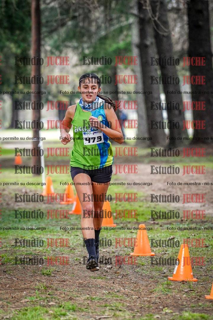 Fotos en el circuito
