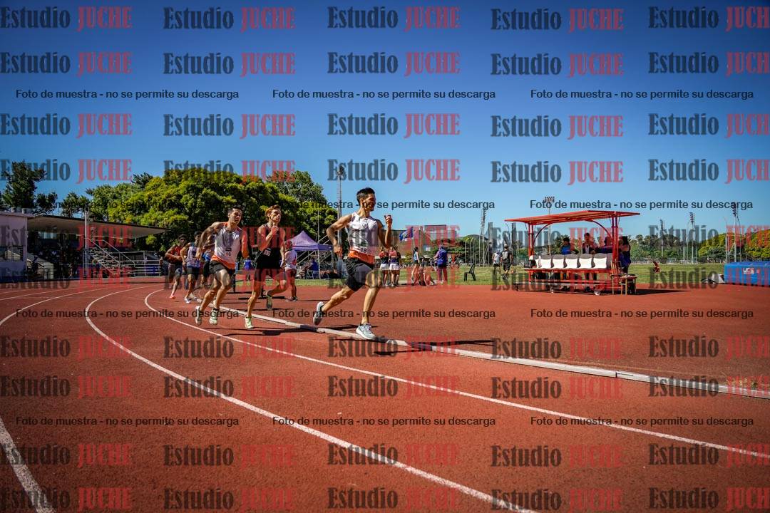 Fotos de los 800 m llanos de varones