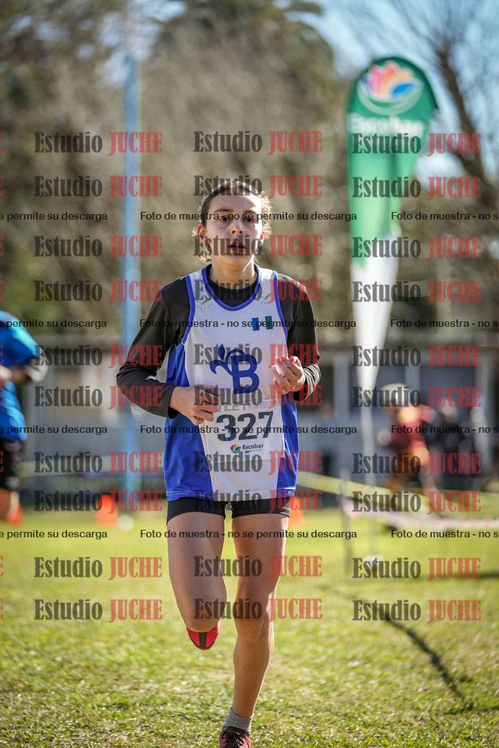 Fotos de la llegada del cross de 1500 m