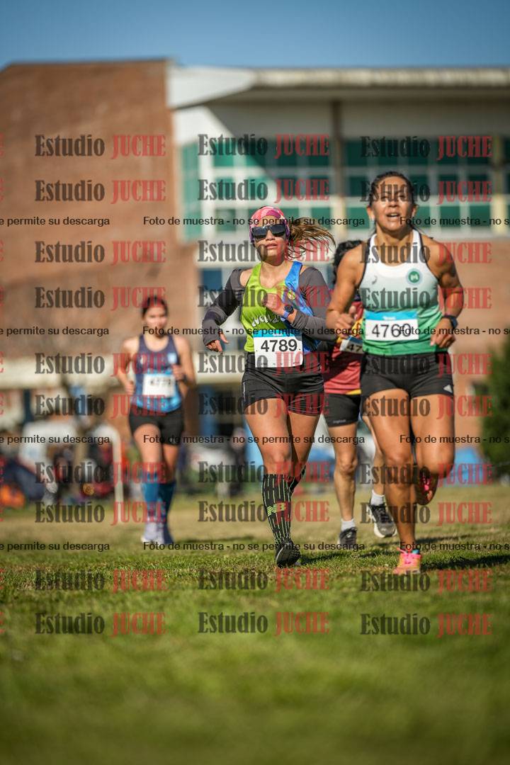 Fotos en el circuito